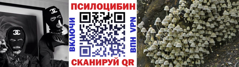 Галлюциногенные грибы Magic Shrooms  KRAKEN ссылки  Тула 